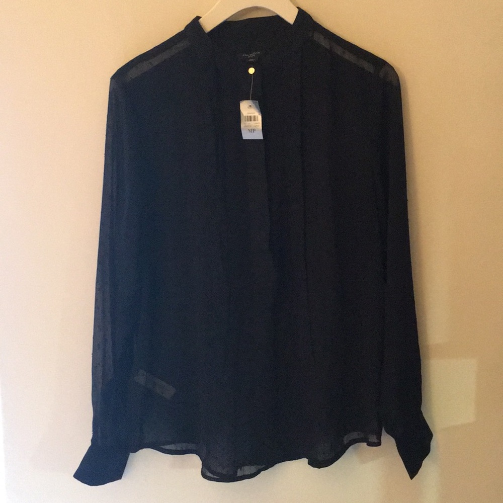 Ann Taylor Black Sheer Blouse (NEW)